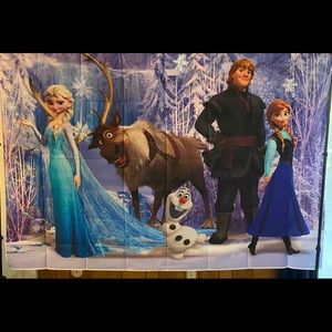 Frozen backdrop